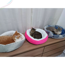 Caminha Pet Redonda Cachorro Gato Cama Confortável Sherpa Inverno Pelo de Carneiro Frio Pets Quente