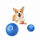 Bola Interativa Inteligente USB – Corre Sozinha! Ideal p/ Cães e Gatos, Anti-Estresse